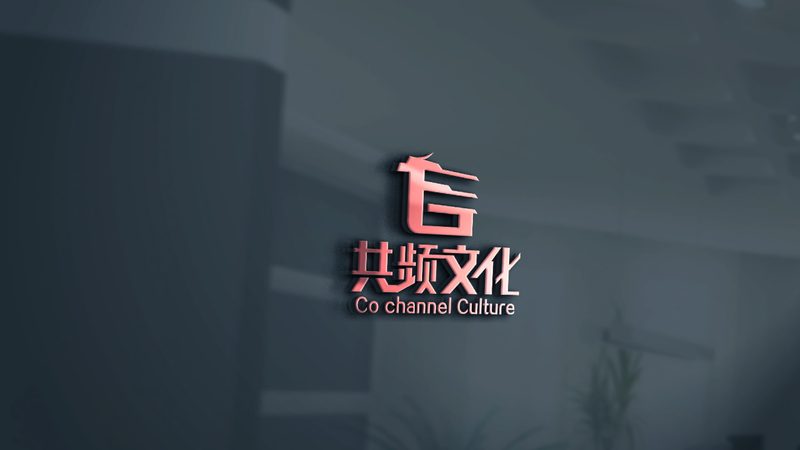 纪录片制作公司十大品牌：揭秘行业翘楚背后的故事