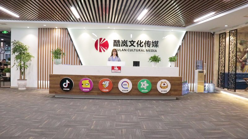 品牌策划执行：价格构成与决策因素
